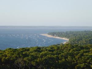 Appartements Au coeur du Bassin d'Arcachon : photos des chambres