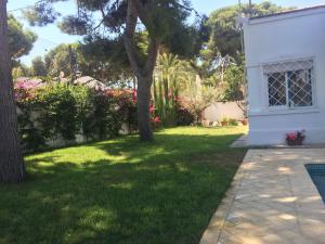 La Casita Bianca