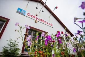 Pension G&oacute;lyaf&eacute;szek Panzi&oacute; Tiszaf&uuml;red Hungary