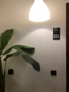 Apartamentos Los Angeles