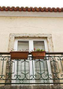 Cozy and Spacious apartment in Graça, Lisbon