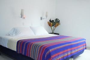 Hotel Casa Santa Monica Norte