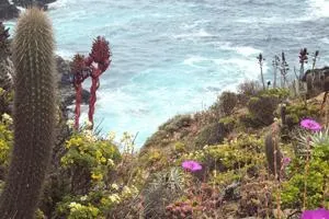 Cabañas Los Molles - Los Molles