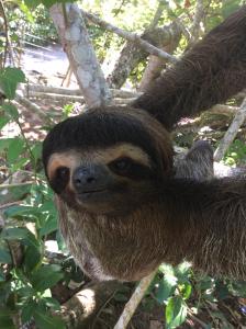 Bungalows Ache Cozy House