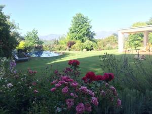 Camberley Wines - Luxury Accommodation