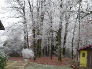 Maisons de vacances Chalet Rocamadour : photos des chambres