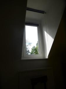 B&B / Chambres d'hotes La Petite Vigne : photos des chambres