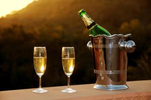 Palace Hotel - Bikaner House