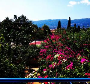 Christina Perlia Studios Poros-Island Greece