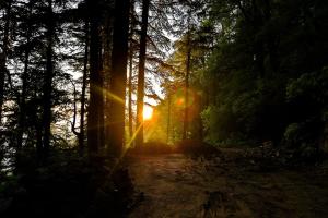 Brij Villa, Dalhousie - A Colonial Luxury Retreat