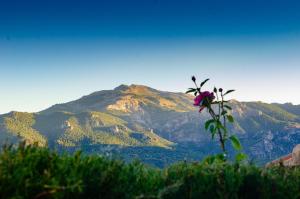 Casas Rurales Mirador del Mundo