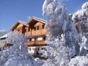 App. Birkenheim - Valdaora di Sotto