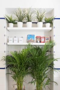 BLAM Alices House, Great view to Santa Maria Maggiore Church