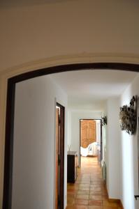 B&B / Chambres d'hotes Mas du Perthus : photos des chambres