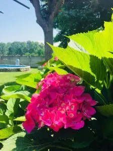 B&B dalLo Zio - Garlasco