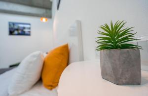 Tbilisi Apartment*Studio Gorgasali