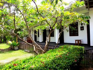 Coconut Grove - Midigama