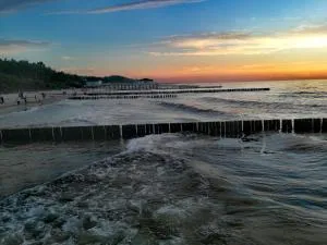 Domki Letniskowe u Susła - Sianozety