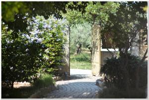 Cozy guest house with great view in Ancient Corinth Korinthia Greece