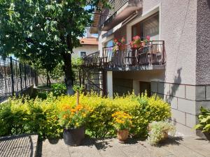 Kyurkchievi Guest House