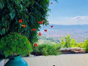 The 4 Pilion Seasons Pelion Greece