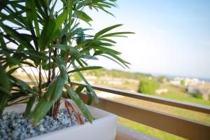 Triple Room with Sea View room in Antica Tonnara Gallipoli