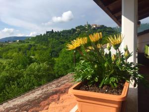 3 hvězdičkový penzion Guest House Most Buzet Chorvatsko