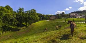 Agriturismo Rio Coverino