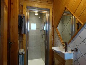 Chalets Chalet Des Sangliers : photos des chambres