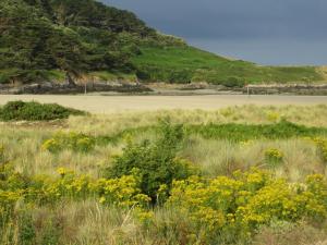 Maisons d'hotes Corentin Cottages - Stewart Morpurgo : photos des chambres