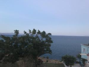 Villa Castle Sea View Arkadia Greece