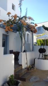 Theofanis Studios Naxos Greece