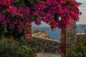 Aigialos Luxury Traditional Settlement Santorini Greece