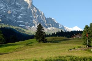Aspen Alpine Lifestyle Hotel