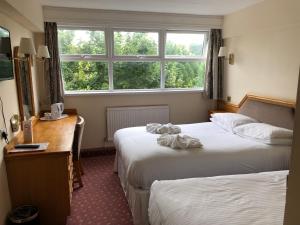 Triple Room room in Riviera Hotel