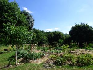 B&B / Chambres d'hotes Au Son du Jardin Poitevin : photos des chambres