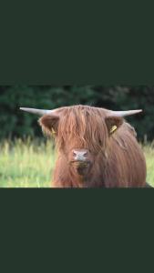 Roe Valley Cottage - LA Spa Hot Tub