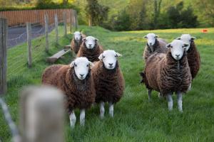 Roe Valley Cottage - LA Spa Hot Tub