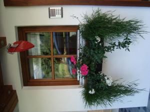 Ferienbauernhof Beer