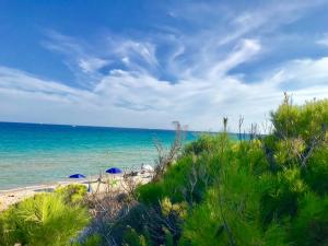 Villa stella di mare