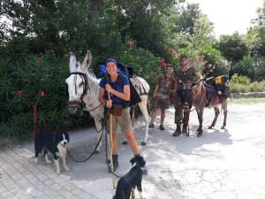 Campings Camping Le Pre Saint-Andre : photos des chambres