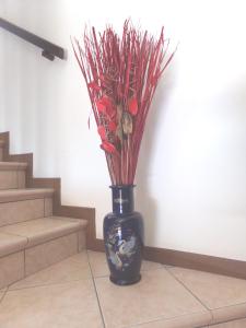 Appartamento Le Rose