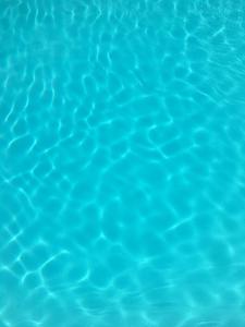 Hôtel Plein Sud et piscine *** photo 15