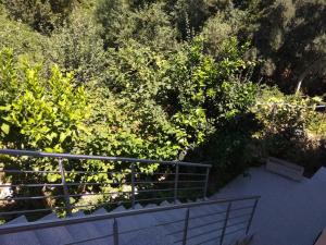 Casas do Caminho Velho