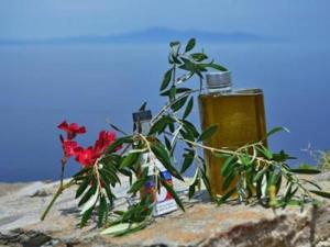 Thalatta Thalatta Kea Greece