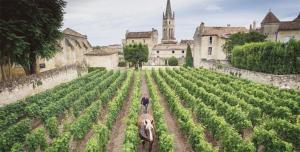 Maisons d'hotes Clos Bernon : photos des chambres