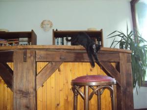 B&B / Chambres d'hotes El gato negro : photos des chambres