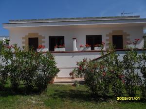 King Room with Garden View
