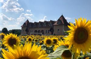 Sáppusztai Vendégház