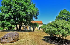 Maisons de vacances Longere de Galibert : photos des chambres